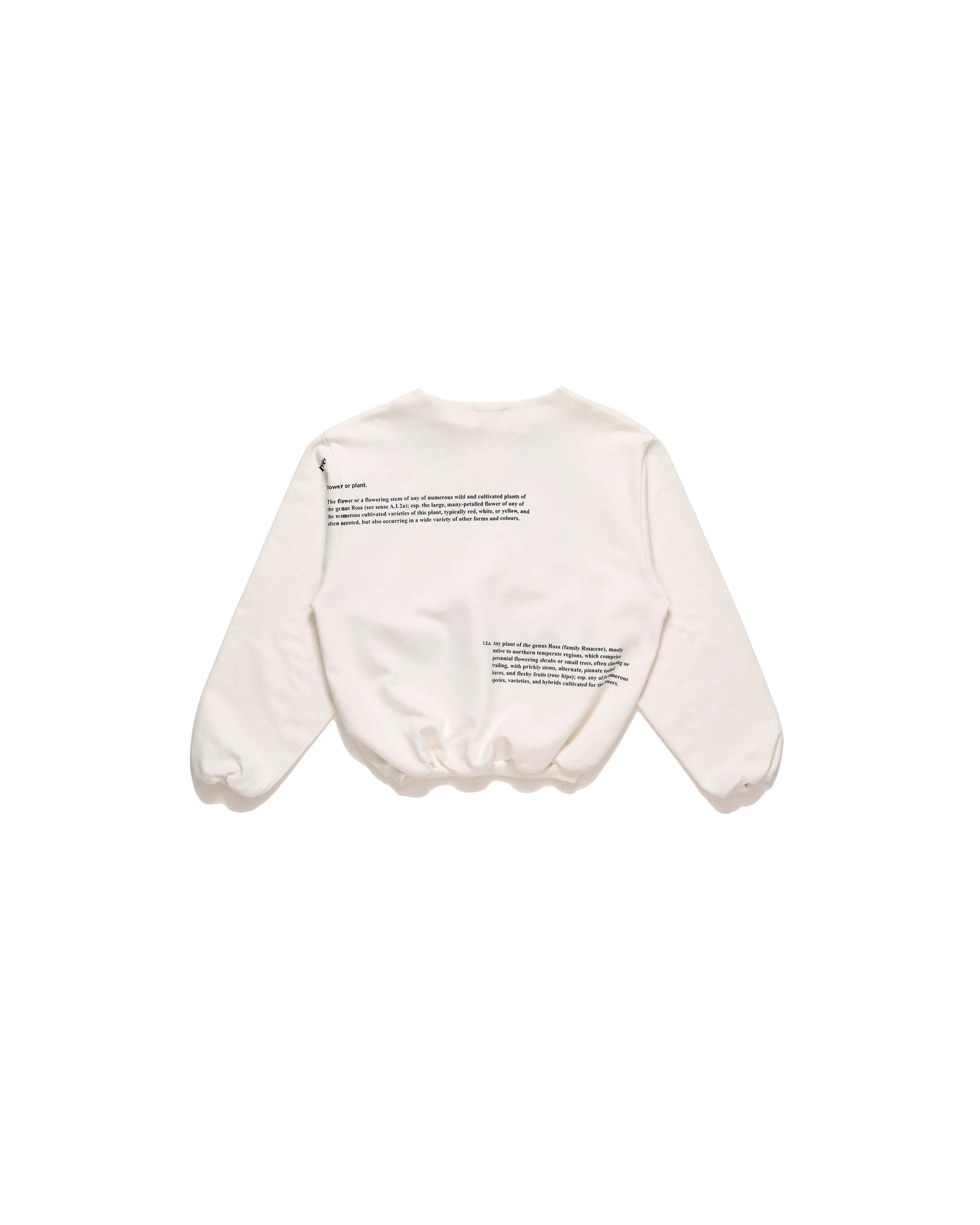 【TANAKA】THE SWEAT SHIRT_ST-186WH